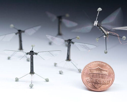 Inspired by the biology of a fly, with submillimeter-scale anatomy and two wafer-thin wings that flap almost invisibly, 120 times per second, the tiny device not only represents the absolute cutting edge of micromanufacturing and control systems, but is an aspiration that has impelled innovation in these fields by dozens of researchers across Harvard for years.