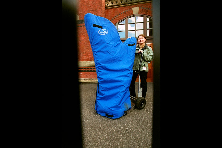 Harpist Erin Arai '08 calls her bagged harp “the giant blue mitten.” Rose Lincoln/Harvard Staff Photographer