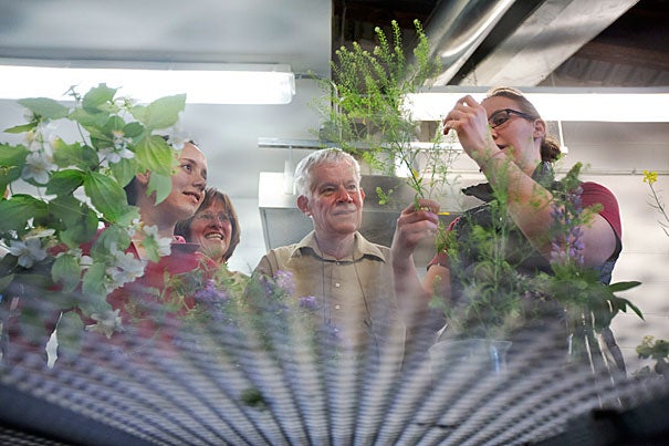 An intensive, two-week course in plant morphology was the first of what will become an annual summer offering in plant organismic biology at Arnold Arboretum.