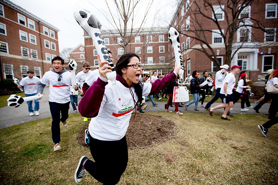 During Housing Day, students head out from Pforzheimer House in Radcliffe Quad. Housing Day starts in the undergraduate Houses, then students rush Harvard Yard, and finally deliver letters to the freshmen in their dorm rooms surrounding the Yard. Rose Lincoln/Harvard Staff Photographer