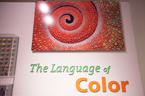 Nearly four years after it was scheduled to close, the wildly popular exhibit "The Language of Color"  will finally end in October (photo 1). Athena Hu, 12, (photo 2) and tourist Isis May Wenseing (photo 3) both scheduled a visit to the exhibition before its end date. 