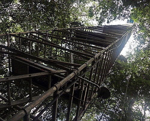 Deep in Brazil's Amazon rainforest, Harvard Professor Scot Martin studies air pollution from atop a 177-foot aluminum tower. Though scientists have long understood the impact of carbon dioxide and methane gas on global warming, they know relatively little about the particles that Martin studies, or their possible influence on climate shifts and global warming trends.