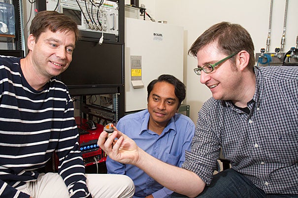With the help of the zebra finch, Bence Ölveczky (left) and his team of graduate student researchers Farhan Ali (center) and Timothy Otchy found that the brain uses two largely independent neural circuits to learn the temporal and spatial aspects of a motor skill.
