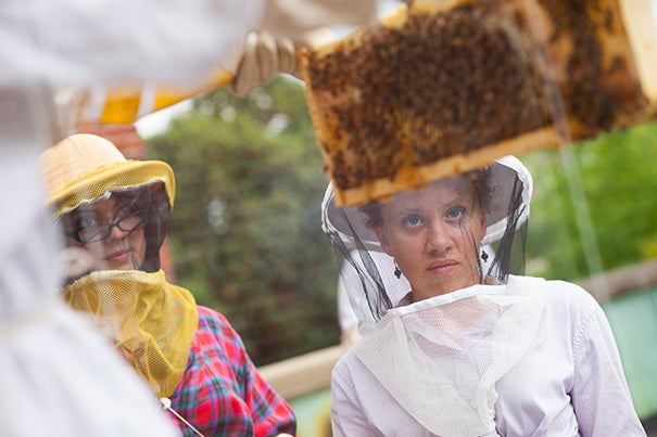 Harvard's new Undergraduate Beekeepers group (HUB) has their first meeting of the year followed by a tour of their hive on the roof of Pforzheimer House in the Quad at Harvard University. Li Murphy '15 holds up the a section of the hive as Georgia Shelton '14 (from left) and Amalee Beattie '17 observe. Stephanie Mitchell/Harvard Staff Photographer