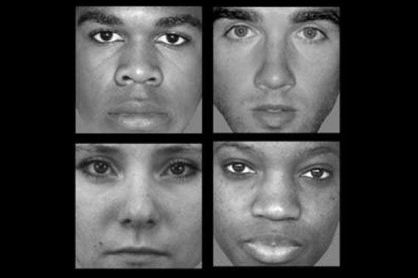 Harvard researchers have found a brain region in which patterns of neural activity change when people look at black and white faces, and at male and female faces. 