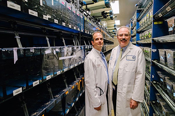 The Harvard Stem Cell Institute has carried a discovery from the lab bench to the clinic. “The fact that we were able to translate someone’s scientific discovery from down the hall into a patient just a few hundred yards away is the beauty of working here,” said HSCI-affiliated faculty member Corey Cutler (left), pictured with Leonard Zon, chair of the HSCI.