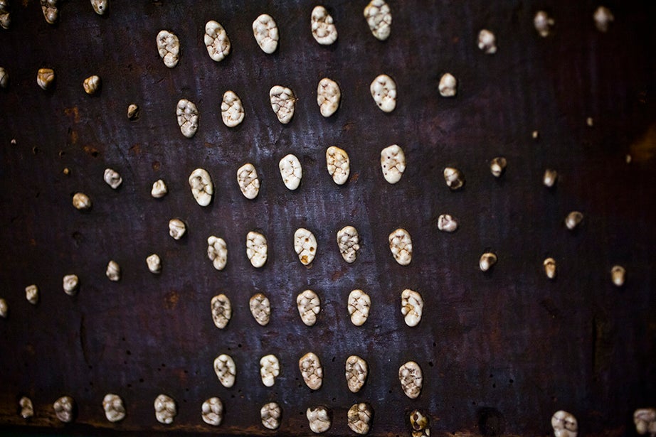 A marriage lid inlaid with sea otter teeth is displayed at the Peabody Museum of Archaeology and Ethnology. A marriage lid was a typical gift offered during weddings in the 19th century. 