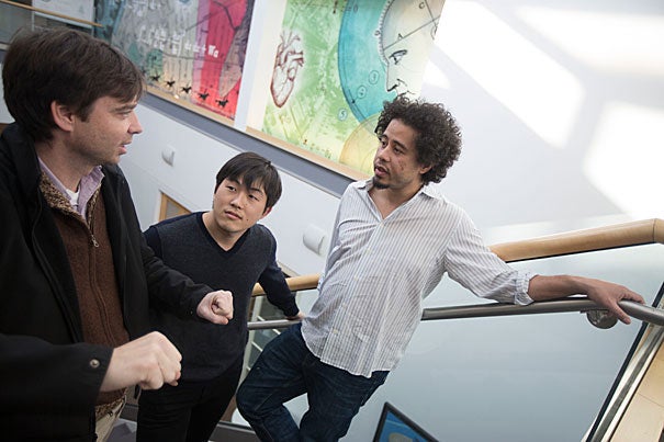 Bence Ölveczky (from left), Yohsuke Miyamoto, and Maurice Smith suggest in a new study that variability in motor function is a key feature of the nervous system that helps lead to better ways to perform a particular action. 