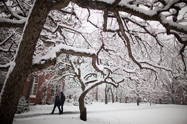 “With slack time in the schedule, the time lost to [weather-related] closure can be regained,” says Joshua S. Goodman, assistant professor of public policy at HKS.