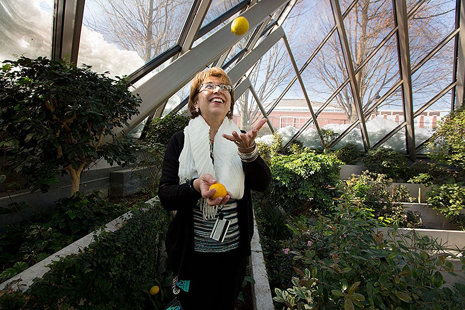 Just after the chapel’s completion, Agni Thurner was asked to be caretaker. Now the Manager of Executive Education Building Services, Thurner can name nearly all of the plants, as they grew during her childhood in Cyprus, Greece. These days, the garden is rife with citrus fruits: tangerines, oranges, lemons (like the ones she is juggling), as well as native plants from the Americas. 