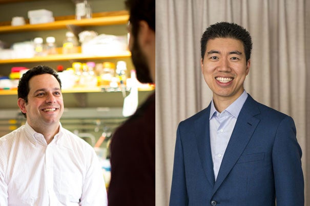 Alan Saghatelian (left), associate professor of chemistry and chemical biology, and David Liu, professor of chemistry and chemical biology, have discovered a compound that inhibits insulin-degrading enzyme from breaking down insulin in the body.