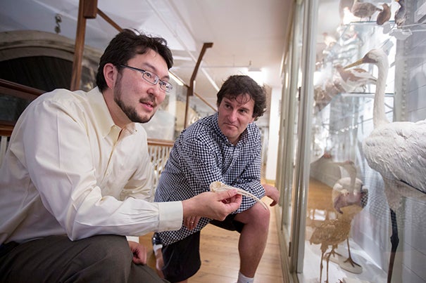 Arkhat Abzhanov (left), associate professor of organismic and evolutionary biology, and Michael Brenner, Glover Professor of Applied Mathematics and Applied Physics,  co-lead authors of a new study that looks at how developmental mechanisms both allow for great variability and create powerful constraints on the shape of the beaks of song birds.