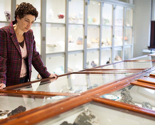 A novella co-authored by Professor Naomi Oreskes imagines the long-term consequences of inaction on climate change. Oreskes is at the Harvard Museum of Natural History.