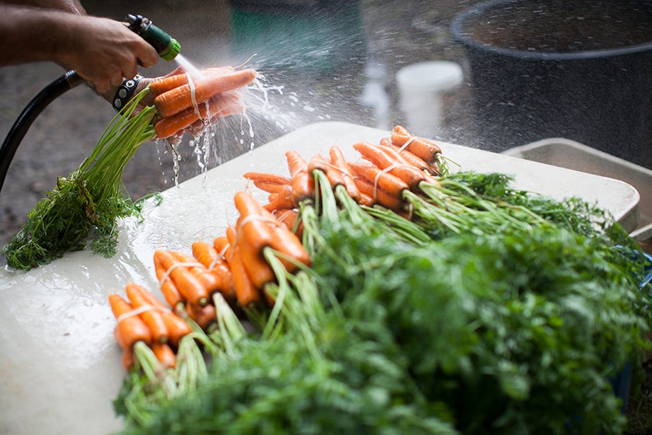 Carrots get rinsed before being boxed for that day’s farmers’ market. 