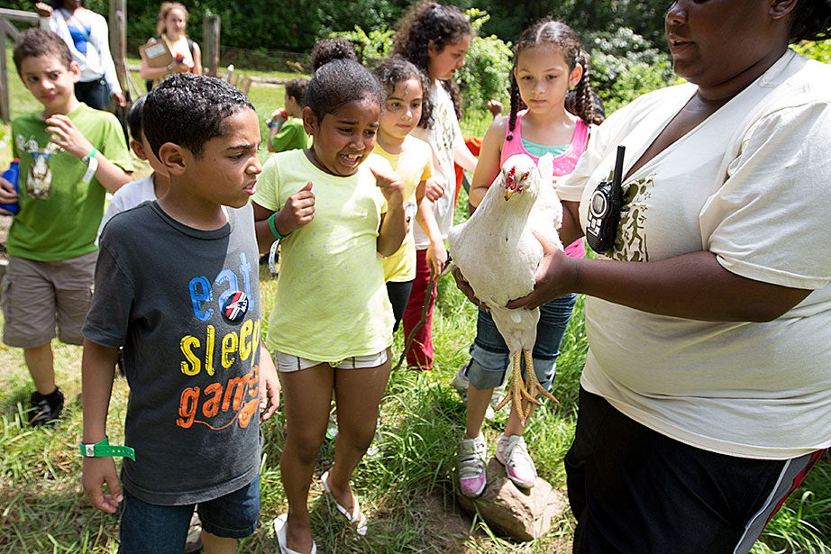 Students reacted to seeing a chicken.