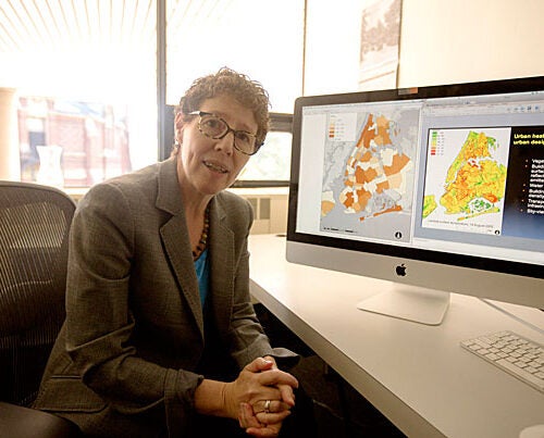 “Everyone in the design community was galvanized by Sandy and we absolutely need to work on coastal solutions, but we also have to be mindful that sea level isn’t the only threat,” said Joyce Klein Rosenthal, an assistant professor of urban design, who says that heat waves also have deadly potential. 