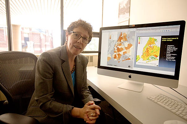 “Everyone in the design community was galvanized by Sandy and we absolutely need to work on coastal solutions, but we also have to be mindful that sea level isn’t the only threat,” said Joyce Klein Rosenthal, an assistant professor of urban design, who says that heat waves also have deadly potential. 