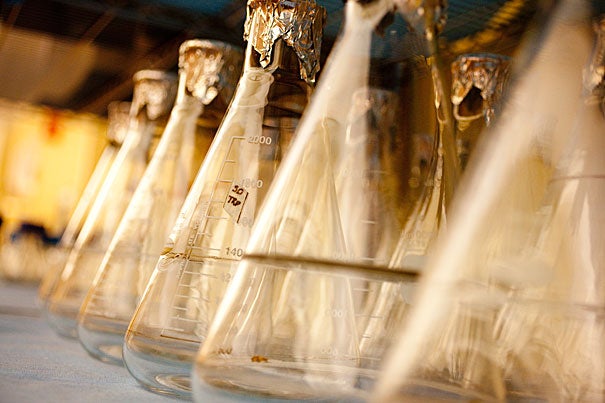 Science stock photos of beakers at Harvard University's Wyss Institute.  Rose Lincoln/Harvard Staff Photographer