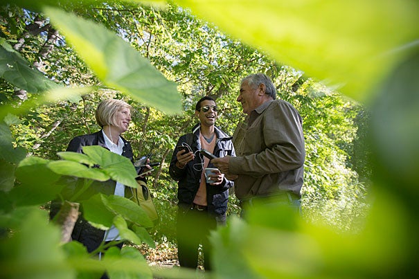 Peter Del Tredici (right, photo 1), associate professor of landscape architecture, talks with Teri Rueb  as they demonstrate the new app to GDS student Hector Tarrido (center). The Arnold Arboretum app (photo 2) provides a guided tour, complete with speakers placed throughout the trail, which Del Tredici points out (photo 3).