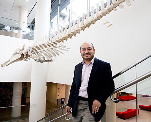 A new study, co-authored by Erik Otárola-Castillo, suggests that whale bones have a very specific purpose.