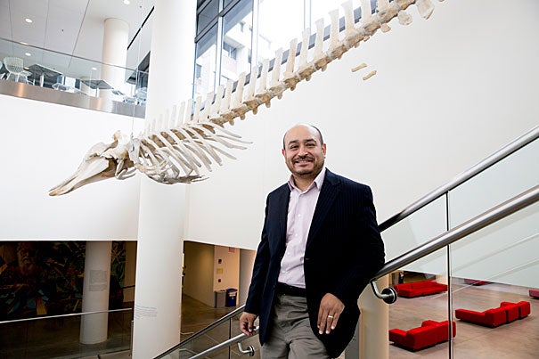 A new study, co-authored by Erik Otárola-Castillo, suggests that whale bones have a very specific purpose.