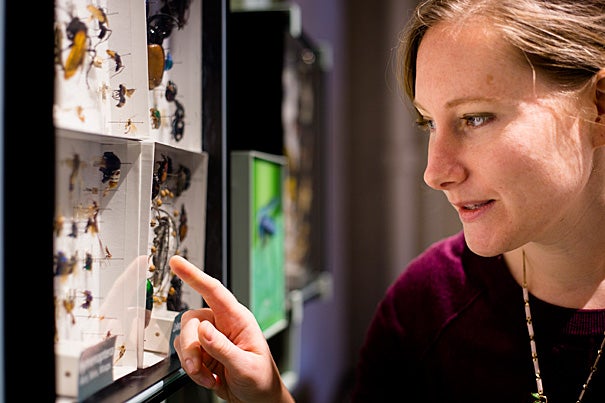 Sarah Kocher is the co-author of a paper on eusociality, which arises when a species, like ants or bees, give up some of their own reproductive rights to help raise the offspring of another. 
