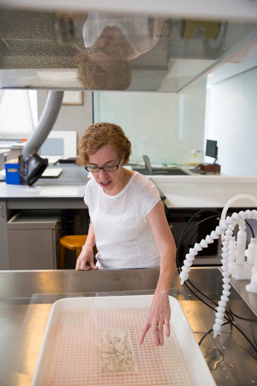 Paper conservator Penley Knipe prepares a work on paper for a bath in the Straus Center’s paper lab. Stephanie Mitchell/Harvard Staff Photographer