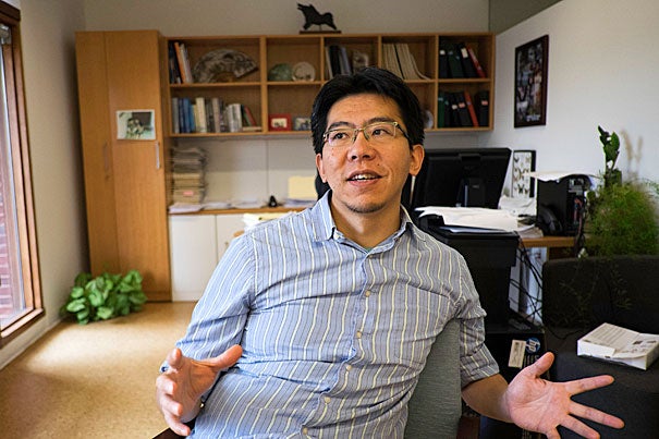 Joe Zhou, an associate professor in Harvard’s Department of Stem Cell and Regenerative Biology, and his collaborators used a combination of genes to change pancreatic exocrine cells — one of the main forms of cells in the pancreas — in adult mice that have diabetes into insulin-producing beta cells that appeared to cure about a third of the mice of the metabolic disease, and improved insulin production in most of the other mice.