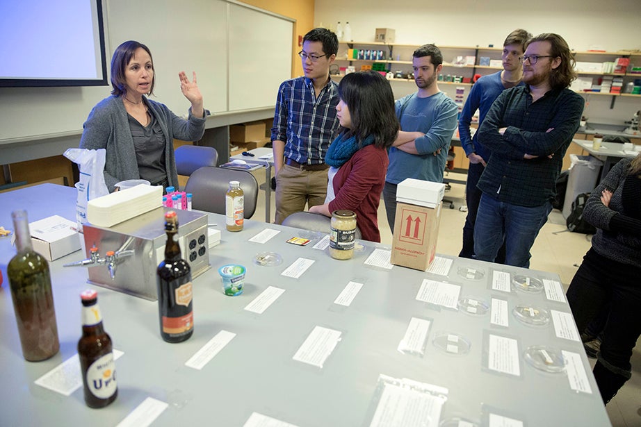 Postdoctoral student Einat Segev (from left) teaches GSAS students Allen Lin and Yolanda Huang during the MSI Graduate Consortium. Participants were given hands-on training in light, fluorescence, confocal, electron (TEM and SEM), and atomic-force microscopy. Kris Snibbe/Harvard Staff Photographer
