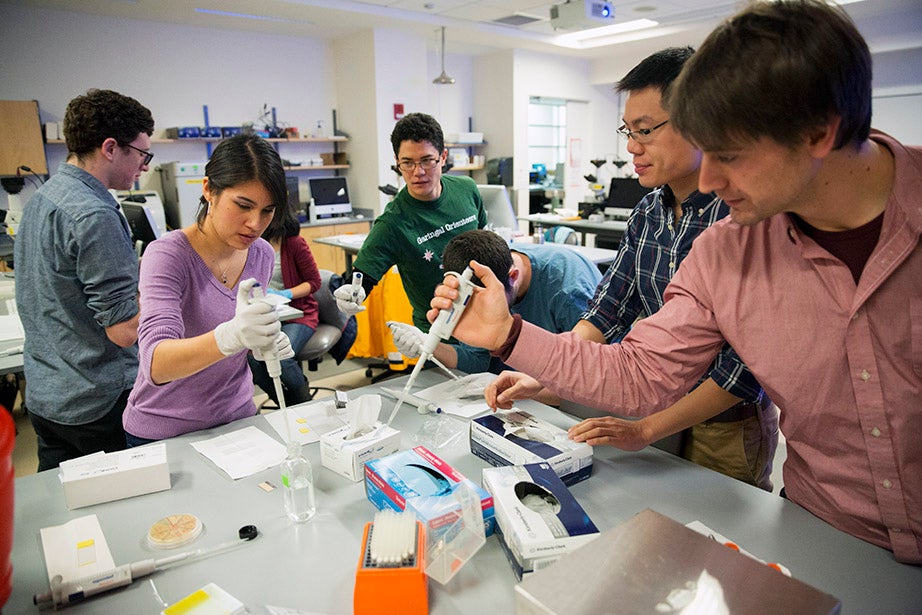 GSAS student Denise Sirias (from left) practices biological and biomedical science with Ph.D. hopeful Chris Baker and GSAS students Allen Lin and Max Schubert during the MSI Graduate Consortium, a weeklong intensive workshop offered during Harvard's January session. Kris Snibbe/Harvard Staff Photographer