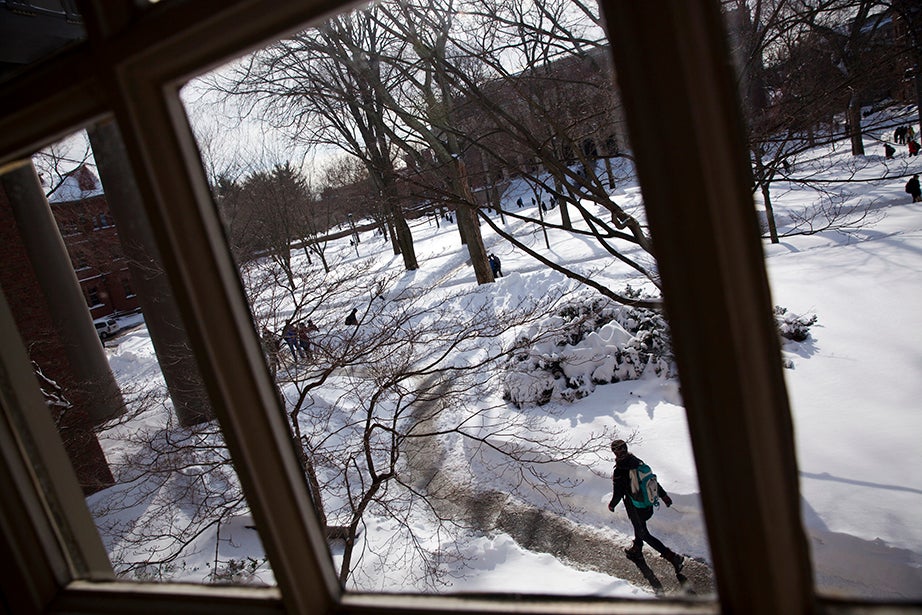 Students walk through the cleared paths in Harvard Yard. Stephanie Mitchell/Harvard Staff Photographer