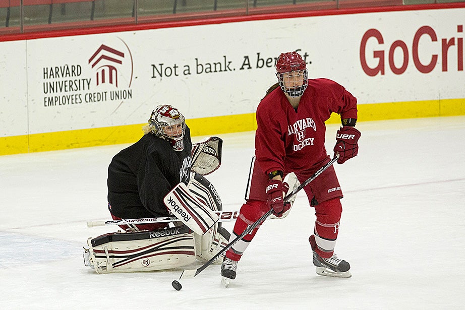 Forward Jess Harvey ’16 looks to pass a loose puck in front of goalie Brianna Laing ’17. Jon Chase/Harvard Staff Photographer