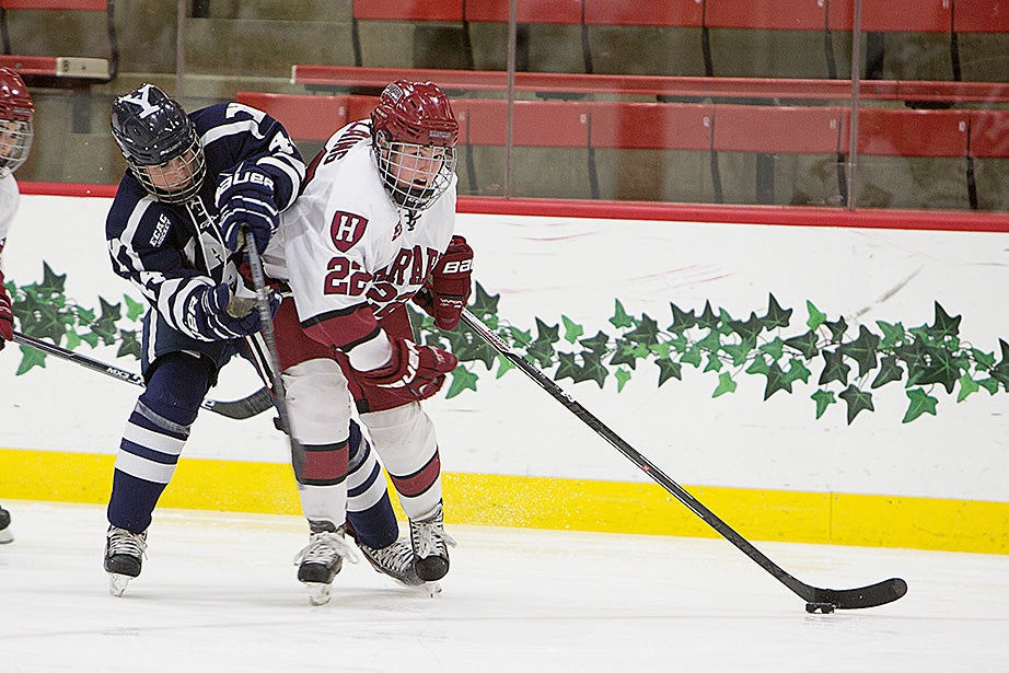 Lexie Laing ’18 uses her body to protect the puck from her Yale opponent during the first ECAC quarterfinal game. Harvard won, 2-1. Laing has nine goals and 13 assists for 22 points, the fifth highest on the team. Rose Lincoln/Harvard Staff Photographer