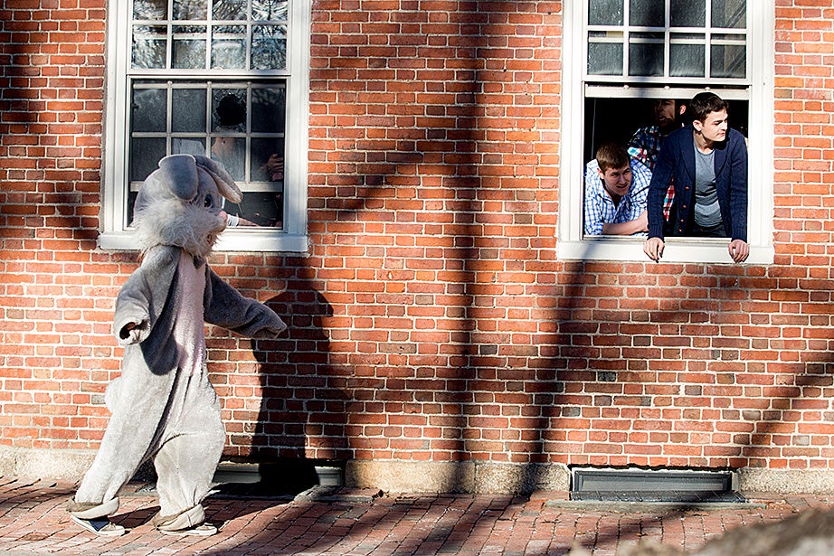 The Leverett House bunny delivered housing assignments to eager freshmen. Rose Lincoln/Harvard Staff Photographer