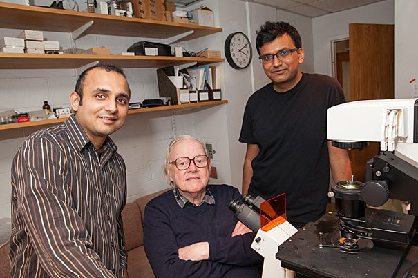 Abhishek Shrivastava (right) is the lead author of a recent paper about the discovery of a previously unknown rotary motor in bacteria. With him are postdoctoral fellow Pushkar Lele and Howard Berg, Herchel Smith Professor of Physics and professor of molecular and cellular biology.