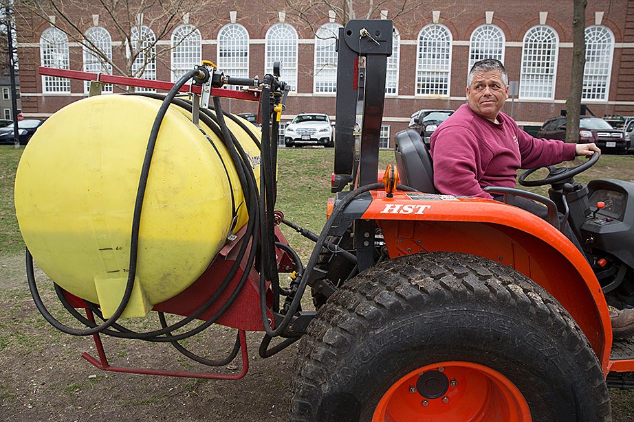 Facilities and maintenance worker Jim Peterson gardens in the Mac Quad. Organic landscaping is used on more than 93 acres of campus space, including Harvard Yard. Kris Snibbe/Harvard Staff Photographer 