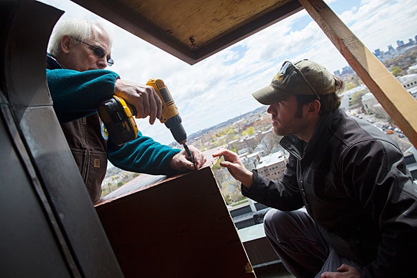 Thomas French (left), assistant director of the Massachusetts Division of Fisheries and Wildlife, and state wildlife biologist David Paulson install a nest box high on Memorial Hall’s tower in hopes that a nesting pair of peregrine falcons will one day make it their home. 