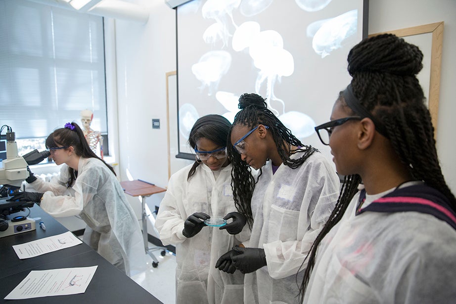 Graduate School of Arts and Sciences student Tessa Montague (far left) shows Mott Hall Bridges Academy students Tukoya Boone (from left), Ashanti Taylor, and Sincere Cisco how zebrafish are used to research embryonic development inside the Biology Labs at Harvard. Kris Snibbe/Harvard Staff Photographer