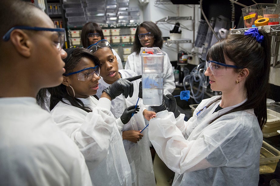 Jermont Haines (from left), Tukoya Boone, and Aaron Abdulmalik get a lesson in zebrafish from Graduate School of Arts and Sciences student Tessa Montague. Kris Snibbe/Harvard Staff Photographer