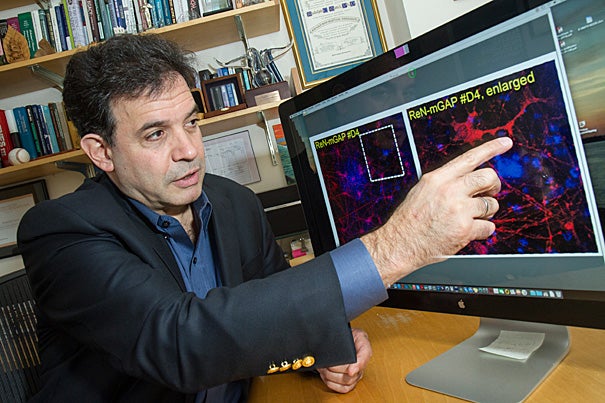 Rudolph Tanzi of Harvard Medical School, recently named to Time’s list of the most influential people in the world, talks about the promising future of Alzheimer’s research. 