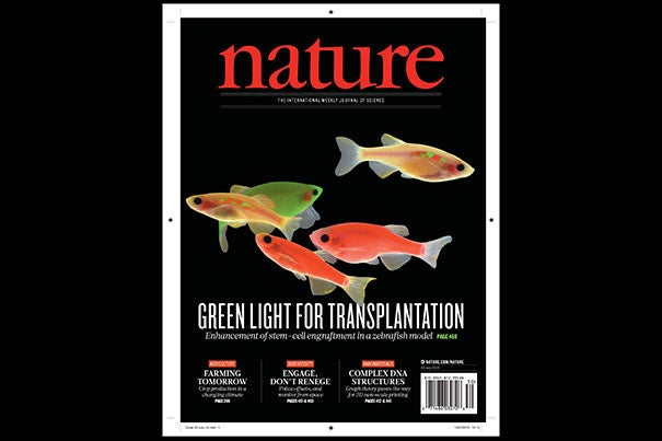 Harvard researchers have found a path to improvement in bone marrow transplants. The findings are featured on the cover of the July 23 issue of Nature. Harvard Stem Cell Institute researchers at Boston Children's Hospital believe it could lead to human trials in patients with cancer and blood disorders within a year or two.