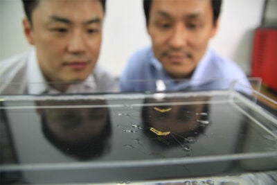 Seoul National University (SNU) professors Ho-Young Kim (from left) and Kyu-Jin Cho watch the semi-aquatic jumping robotic insects developed by a team from SNU and Harvard. 