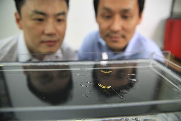 Seoul National University (SNU) professors Ho-Young Kim (from left) and Kyu-Jin Cho watch the semi-aquatic jumping robotic insects developed by a team from SNU and Harvard. 