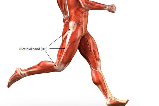 Iliotibial Band Anatomy