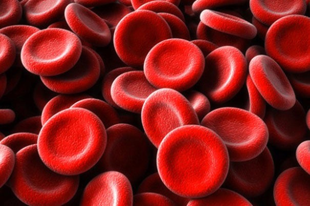 Red blood cell production increases, but cost goes down – Harvard Gazette