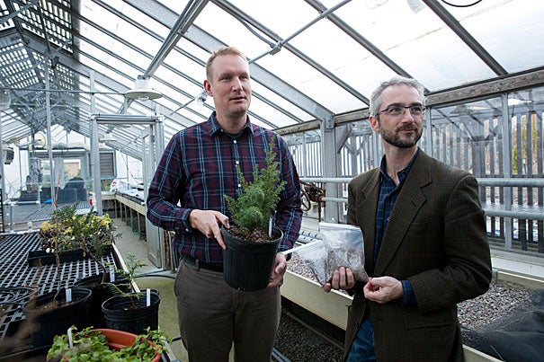 Arnold Arboretum scientists Kyle Port (left) and Michael Dosmann have traveled far and wide to help collect species of importance, with a focus on endangered plants that would strengthen the scientific value of the Arboretum’s living collections.