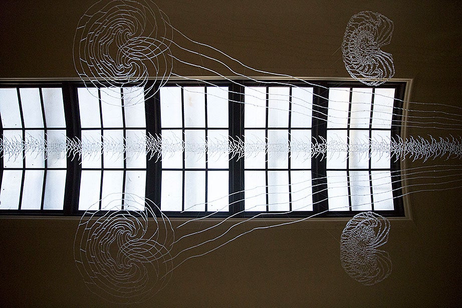Ellen Kennelly ’85 created this glass sculpture for the ceiling of Weld Boathouse. The piece was commissioned by the Friends of Harvard and Radcliffe Rowing for Weld’s centennial in 2006.