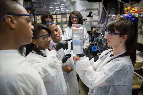 Students from Mott Hall Bridges Academy, Jermont Haines, Tukoya Boone, and Aaron Abdulmalik, and Bianca Nfonoyim '15 (background right)learn how zebrafish are used in scientific research to study embryonic development with Tessa Montague, GSAS student inside the Biology Labs at Harvard University. In the background is Zion Edwards (left) and Bianca Nfonoyim '15. Harvard Staff Photo: Kris Snibbe