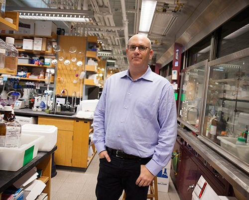 Small-molecule therapeutics developed in the laboratory of Harvard scientist Matthew Shair offer an innovative approach to cancer treatment, targeting enzymes that regulate transcription.