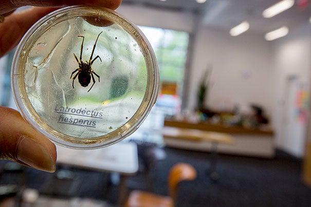The Harvard Ed Portal hosted "Spider Superheroes," a program for Gardner Pilot Academy third-graders to learn about spiders.